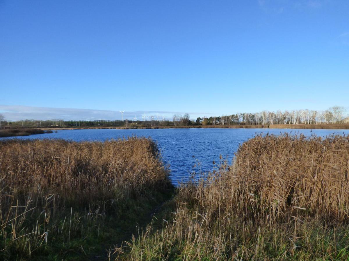 Uckermark "Ferienwohnung Sommerfugl " Passow  ภายนอก รูปภาพ