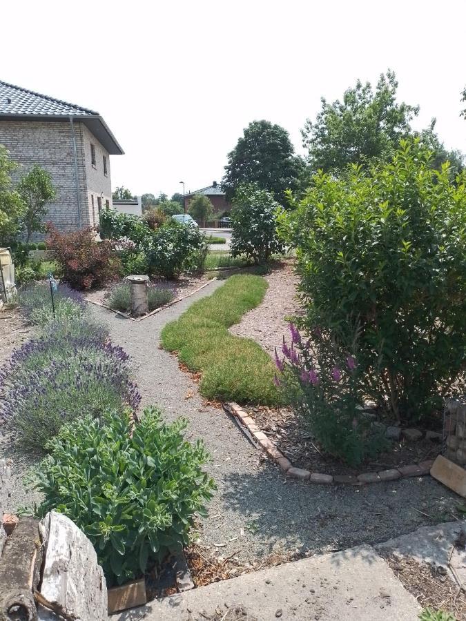 Uckermark "Ferienwohnung Sommerfugl " Passow  ภายนอก รูปภาพ